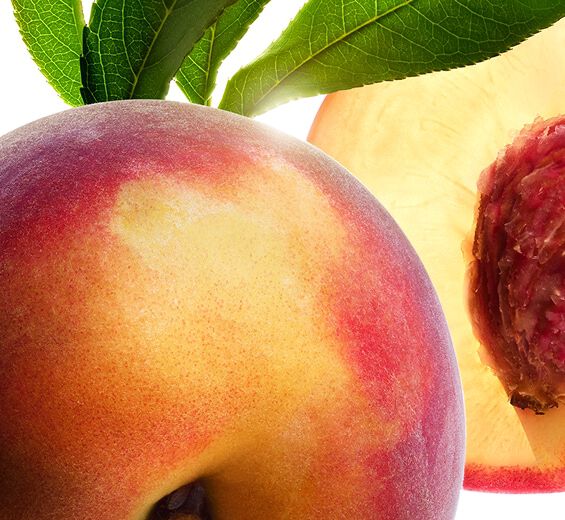 Peach tree-Peach tree milk-Prunus persica (peach) leaf extract