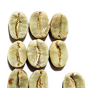 Plant Caffeine