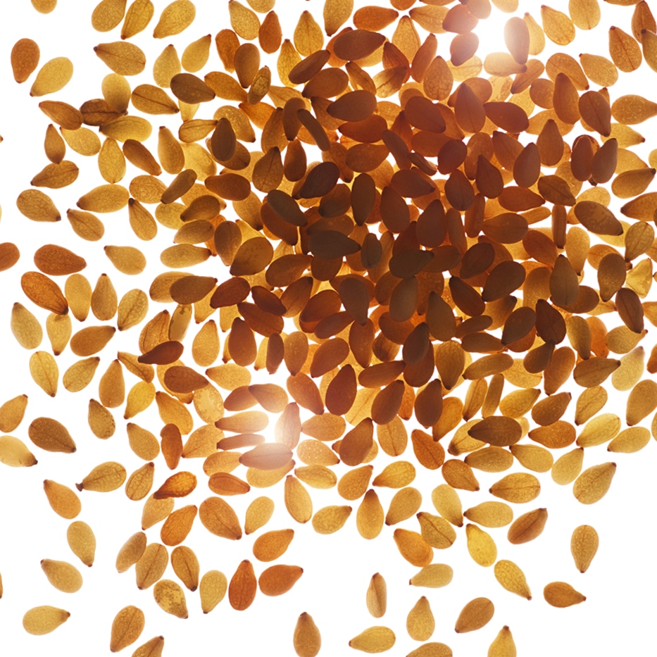 Sesame-Organic sesame oil-Sesamum indicum (sesame) seed oil