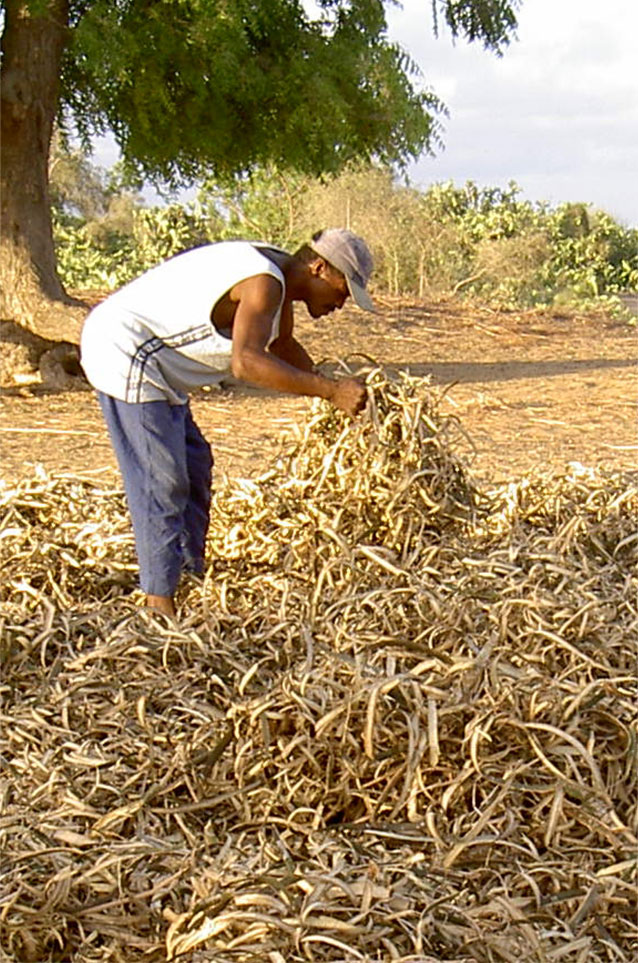 Madagascar