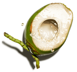 coconut water