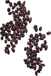 Jojoba ingredient
