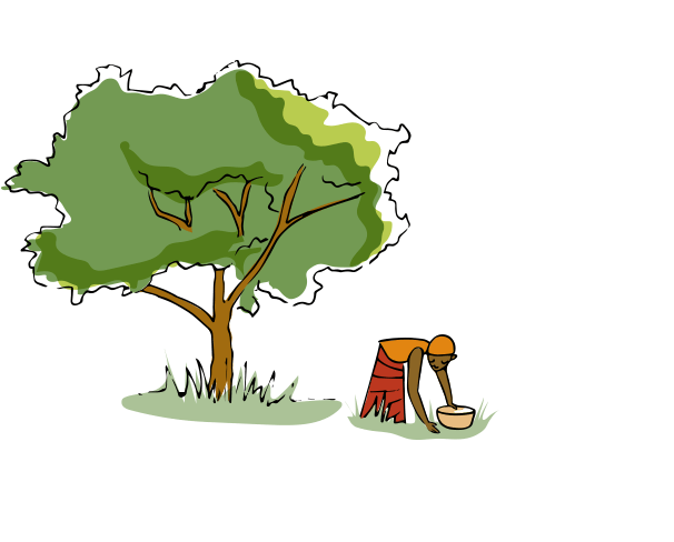 Moisture-Rich Body Lotion tree illustration