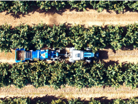 TRUST illustration traceability plateform of Clarins products