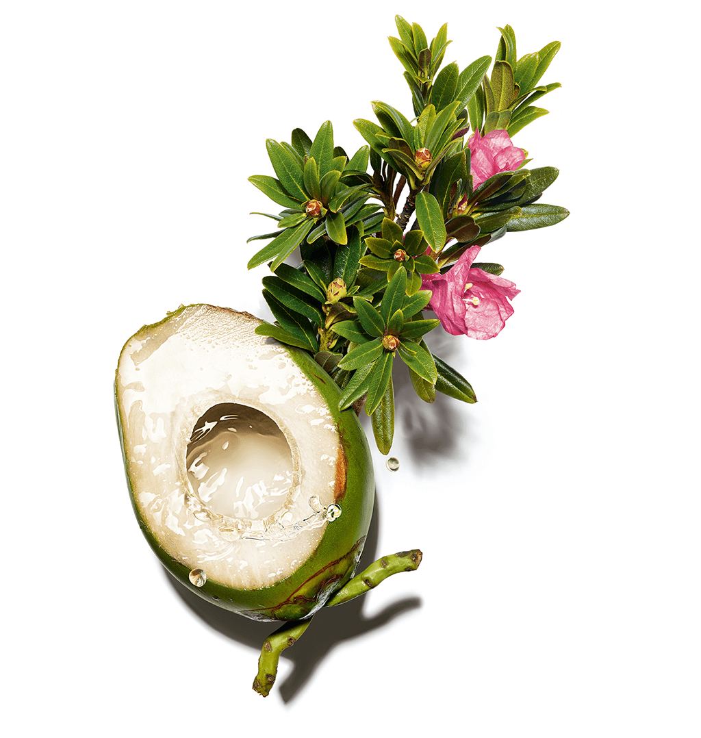 Coconut water and alpine rose visual