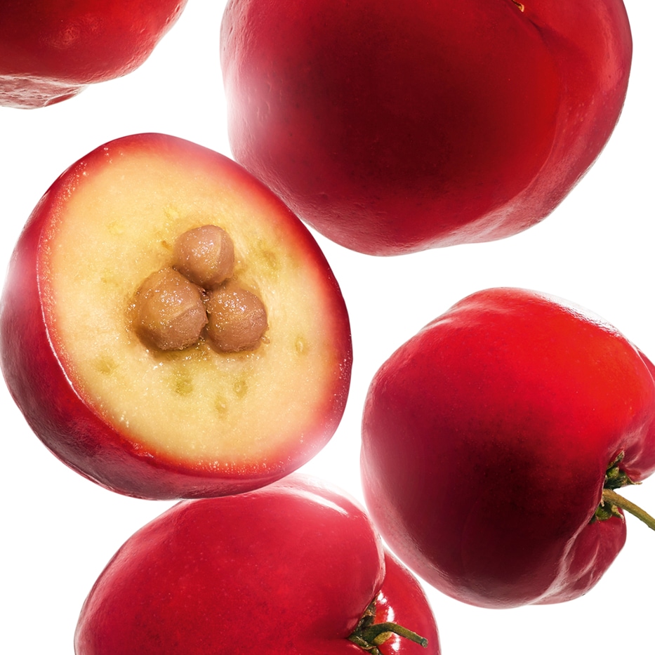Acerola-Acerola extract-Malpighia emarginata (acerola) fruit extract