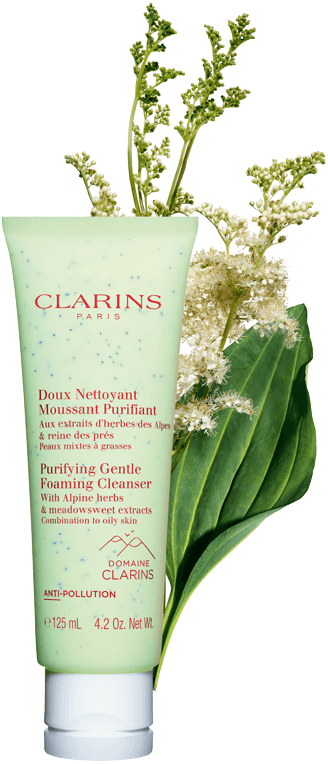 Purifying gentle foaming cleanser