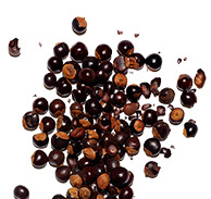 Organic Guarana extract