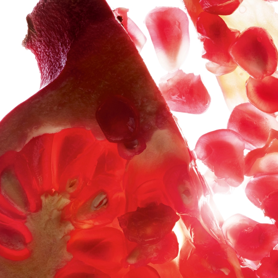 Pomegranate tree-Pomegranate extract (organic plant)-Punica granatum bark extract