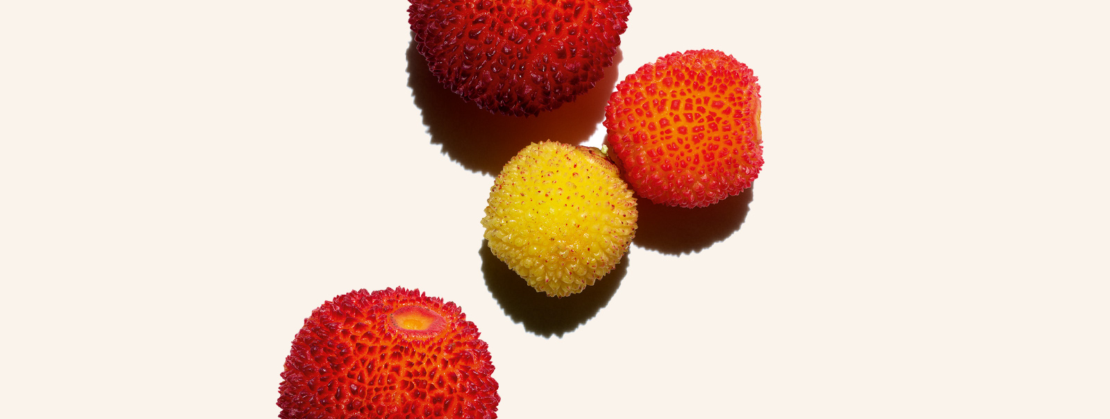 strawberry tree fruit extract