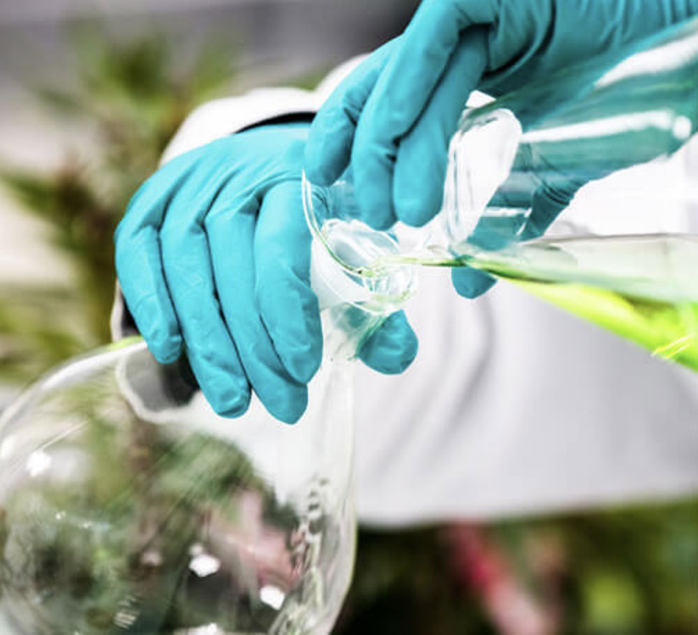 A person in a laboratory carrying out tests