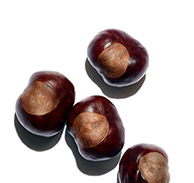 Horse Chestnut escin