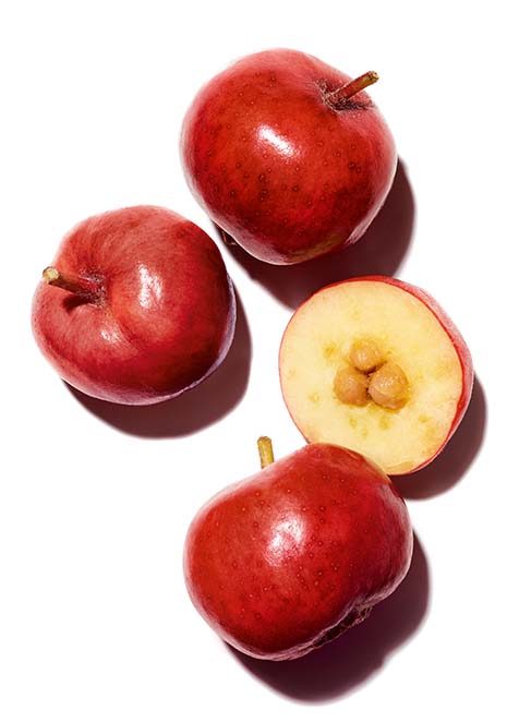 Acerola ingredient