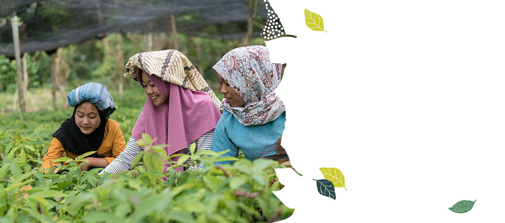 Preserving Biodiversity