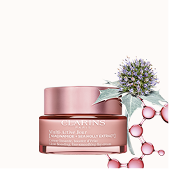 Multi-Active Day Cream Dry Skin