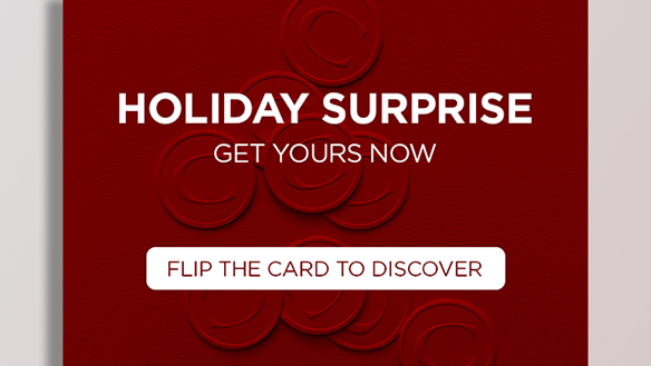 12-Piece Holiday Gift