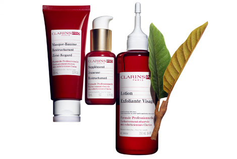 Clarins Skin Spa - Clarins SA